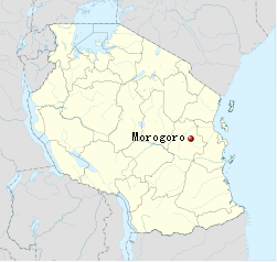 15 Companies Shown Interest to Establish Industries in Morogoro