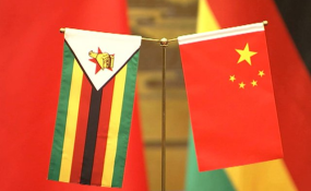 Zim-China Wanjin Joint Venture Made Achievement