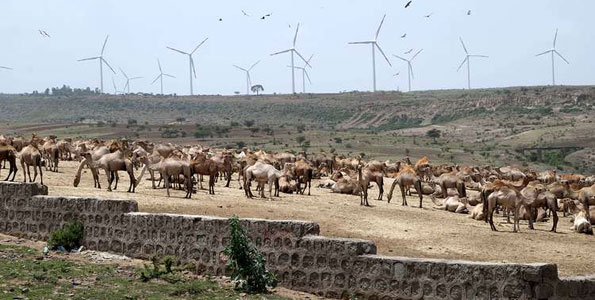 East Africa’s economies top in Africa in injecting clean energy 