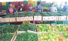 Tanzanian Farmers Call to Restrict Importation Vegetables and Fruits