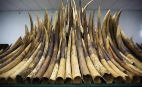 Kenya has welcomed China's banning of  ivory products