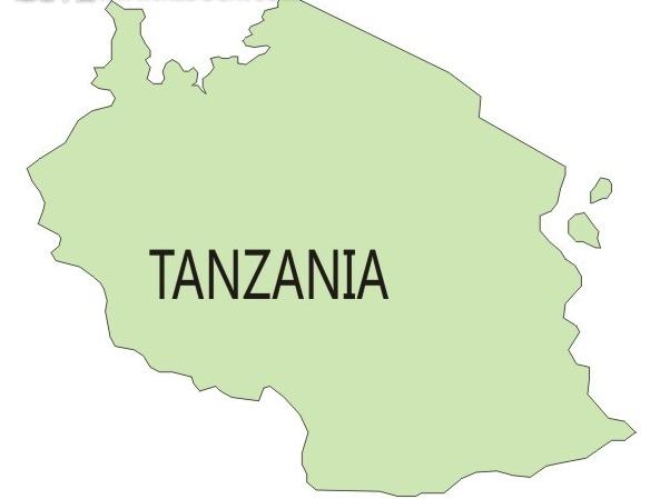 Tanzania Made Efforts to Attract Chinese Investors in Manufacturing Sector