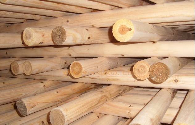 The import, transport and export of timber has been suspended in Gambia