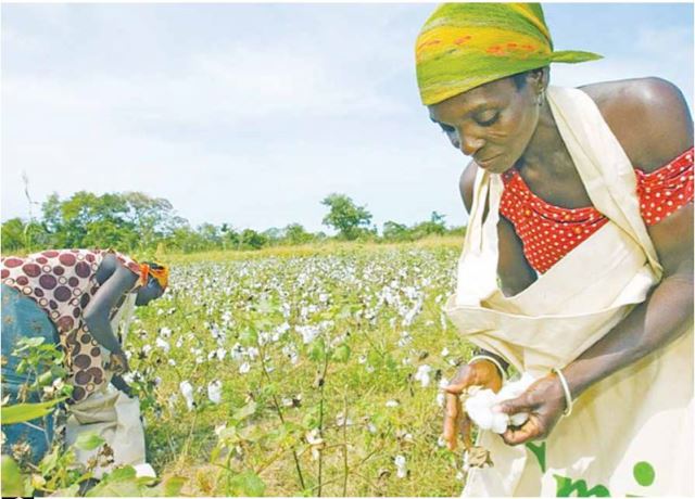 Simiyu Tanzania, a new potential investment area