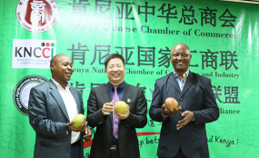 Mangoes Sold Well in Kenya's Chinese Community