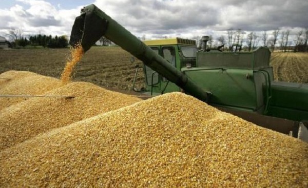 Zimbabwe Pause Grain Imports