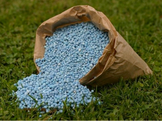 Fertilizer deal between Nigeria and Morocco to increase local blending, crop yields