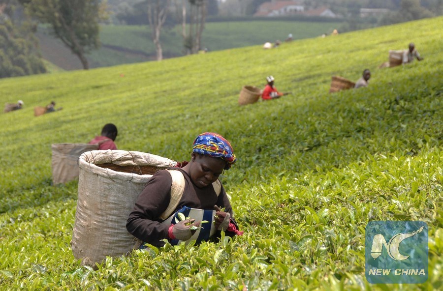 Kenya and China to ink deal on tea trade in July