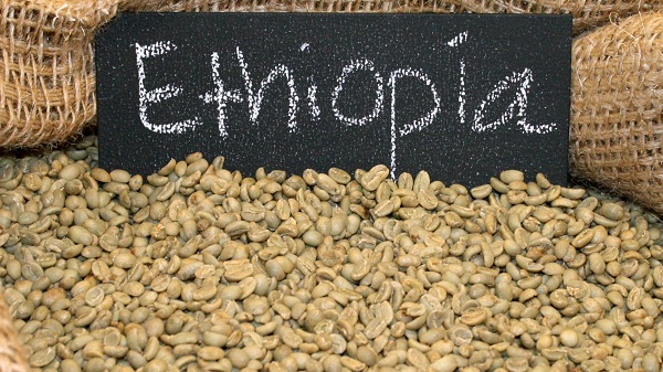 Ethiopia to Developing Its Coffee Industry 