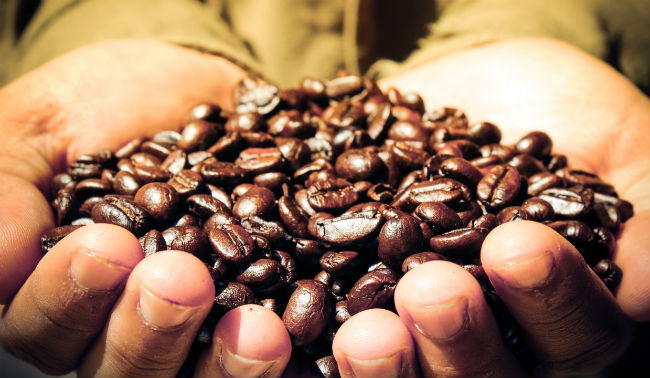 Ethiopia: Coffee Export Reaches U.S.$866 Million