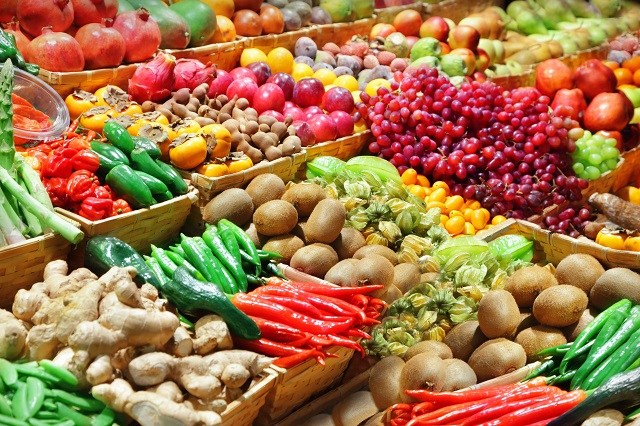 Morocco to Export Agricultural Products
