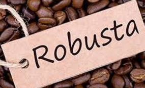 Uganda's Robusta Coffee Attracts Demand in China