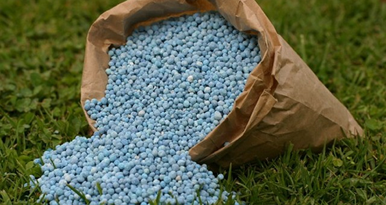 Nigeria NABG demands quick passage of seed, fertilizer bills