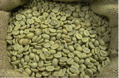 Ethiopia To Dominate Global Coffee Market In The Near Future