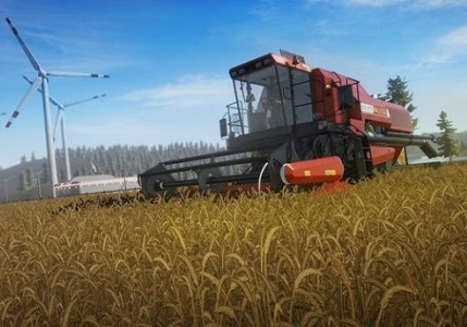 Harvest Year For Morocco's Wheat