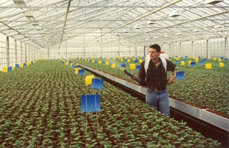 Morocco Has Improved Their Pest Biocontrol Capacity