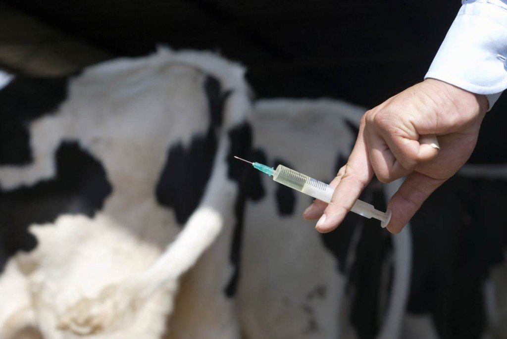 Tanzania will build own livestock vaccine production capacity