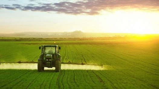 Morocco’s agriculture gets support from African Development Bank