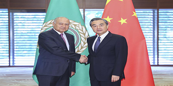 Chinese State Councilor holds talks with Egyptian FM