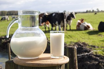 The raw milk production of Zimbabwe is expected to grow by 12% in 2018