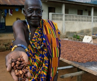 COCOBOD injects 600 million dollars into cocoa sector
