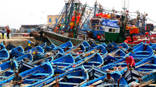 China is Optimistic about the Moroccan Fisherier Industry