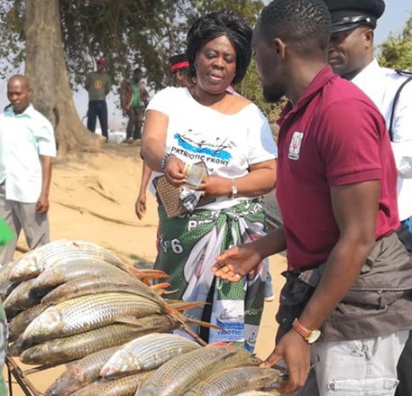 Zambia government invests $2m in fish genetic improvement