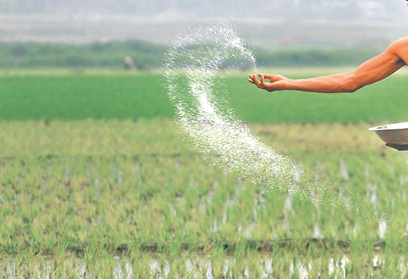 Morocco: China's Forbon to Develop New Generation of Fertilizers