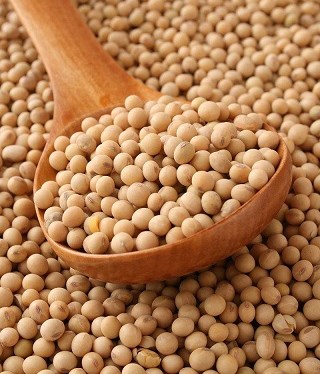 URL invests $30 million in Zimbabwe's soya bean production