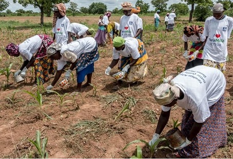 African Agriculture is Expected to Reach $1 Trillion by 2030