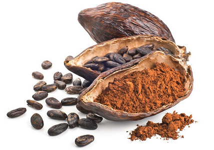 Cocoa processing capacity is insufficient in Ghana and Ivory Coast