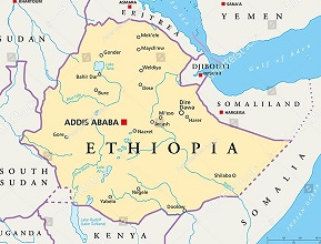 Ethiopia export income drops 38%, while import expenditure is increasing