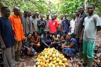 10,000 cocoa farmers are under training on the use of organic fertilizer