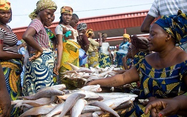 Nigerian fisheries prospect analysis