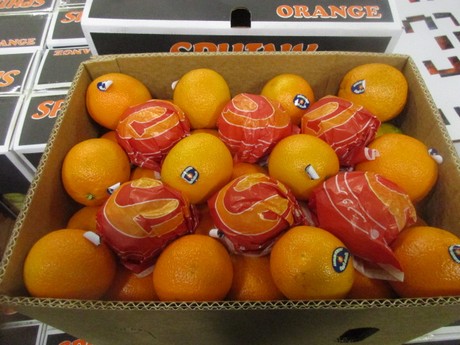 Egypt is on the rise in orange markets