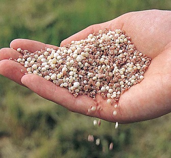 African countries actively promote fertilizer production