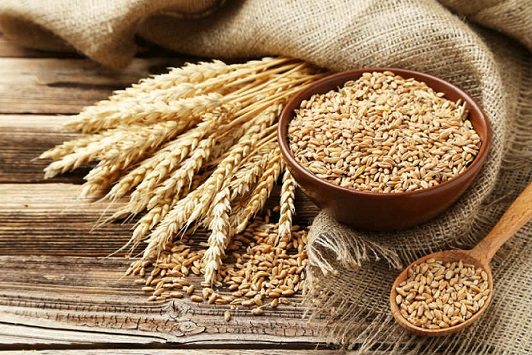 Ethiopia plans to refresh wheat import history in four years