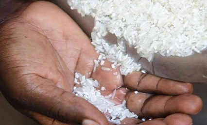 Africa and China signed rice industry initiative