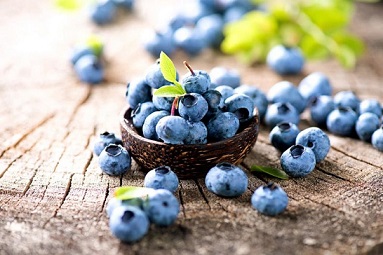 South African blueberry industry is expecting a sharp uptick
