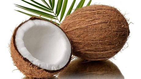 Kenya will establish a coconut processing plant in the coastal area