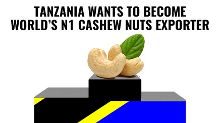 Tanzania Cashew Investment Opportunities