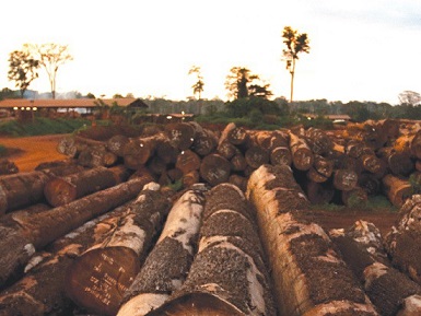 Ghana targets increased timber trade with EU