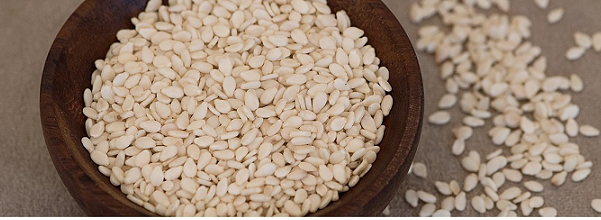 Sesame seed farming in Sudan