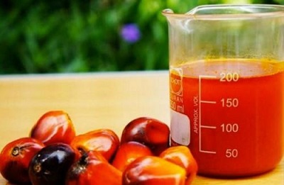 Cameroon's palm oil production increase