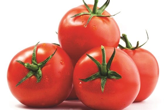 Nigeria: Increasing tomato production