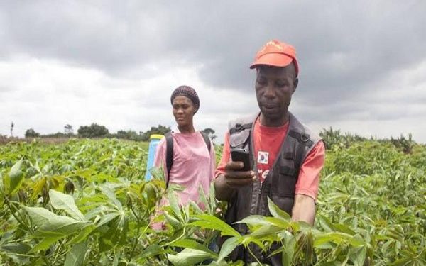 Leveraging digital tools for agricultural extension support
