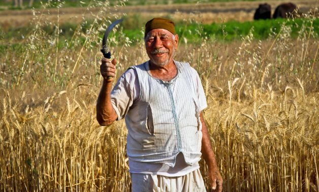 Egypt secures financing for food security, sustainable agriculture for $100M in 2020