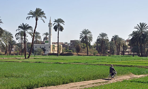 Egypt embarks on mega agricultural reclamation project with underground water