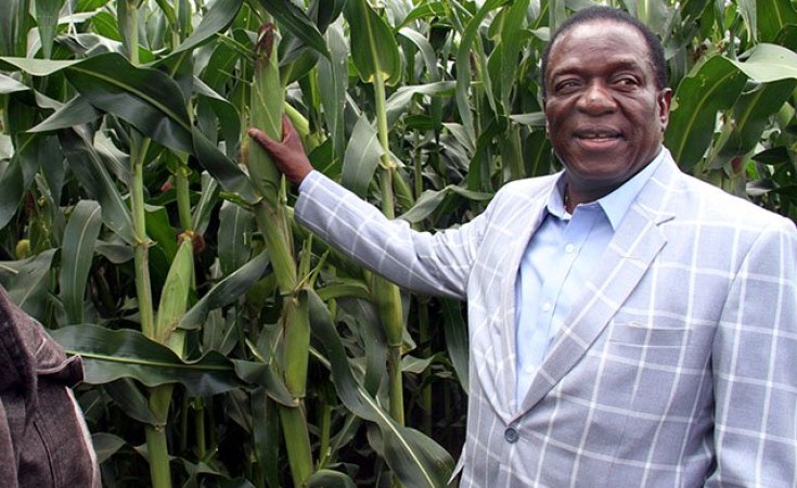 Zim Launches Land Bank To Spur Agriculture Growth