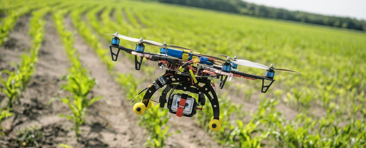 Togolese farmers turn to drones for better yields